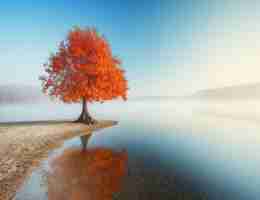 专​业​SSL证‌书​服‌务‌